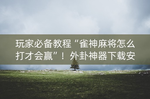 玩家必备教程“雀神麻将怎么打才会赢”！外卦神器下载安装（确实真的有挂)-知乎