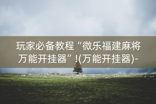 玩家必备教程“微乐福建麻将万能开挂器”!(万能开挂器)-知乎