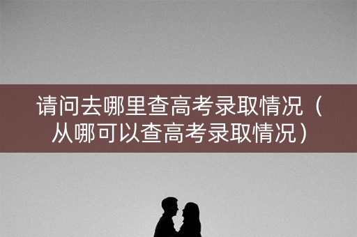 请问去哪里查高考录取情况（从哪可以查高考录取情况）