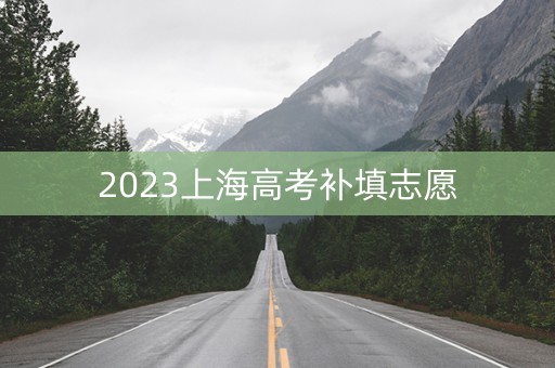 2023上海高考补填志愿