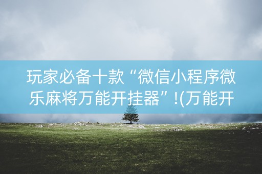 玩家必备十款“微信小程序微乐麻将万能开挂器”!(万能开挂器)-知乎