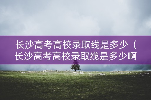 长沙高考高校录取线是多少（长沙高考高校录取线是多少啊）