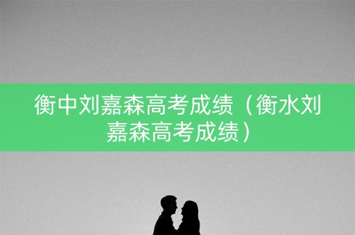 衡中刘嘉森高考成绩（衡水刘嘉森高考成绩）