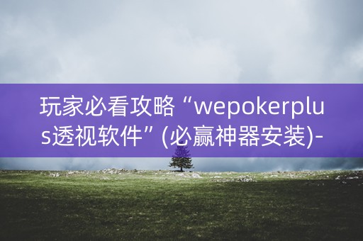 玩家必看攻略“wepokerplus透视软件”(必赢神器安装)-知乎