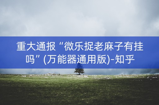 重大通报“微乐捉老麻子有挂吗”(万能器通用版)-知乎