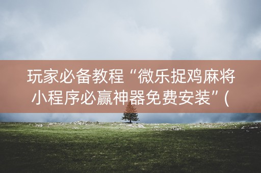 玩家必备教程“微乐捉鸡麻将小程序必赢神器免费安装”(万能器通用版)-知乎
