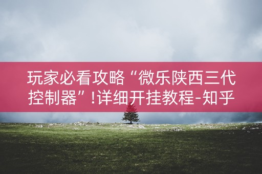 玩家必看攻略“微乐陕西三代控制器”!详细开挂教程-知乎