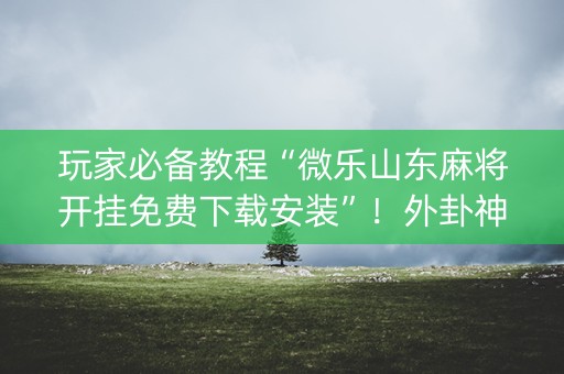 玩家必备教程“微乐山东麻将开挂免费下载安装”！外卦神器下载安装（确实真的有挂)-知乎