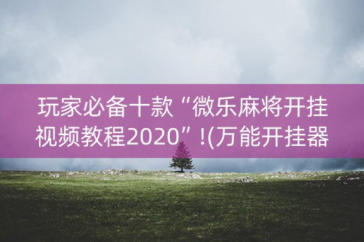 玩家必备十款“微乐麻将开挂视频教程2020”!(万能开挂器)-知乎