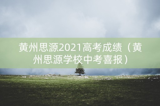黄州思源2021高考成绩（黄州思源学校中考喜报）