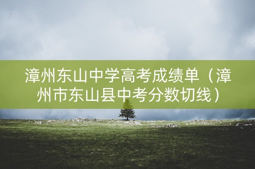 漳州东山中学高考成绩单（漳州市东山县中考分数切线）