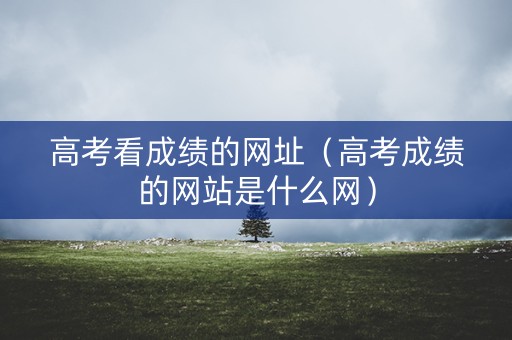 高考看成绩的网址（高考成绩的网站是什么网）
