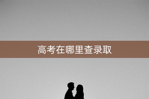 高考在哪里查录取