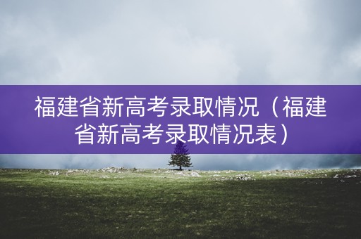 福建省新高考录取情况（福建省新高考录取情况表）