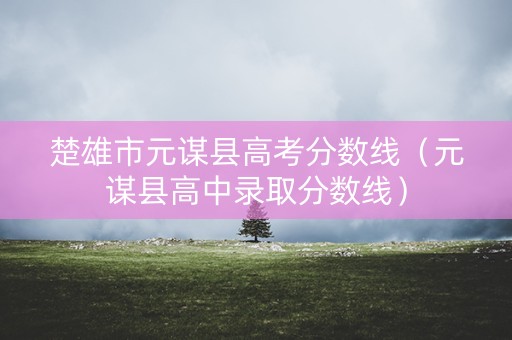 楚雄市元谋县高考分数线（元谋县高中录取分数线）