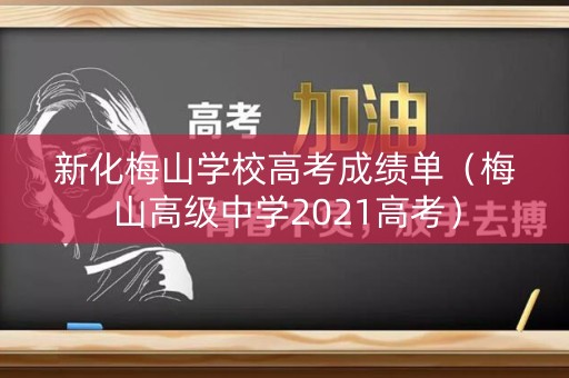 新化梅山学校高考成绩单（梅山高级中学2021高考）