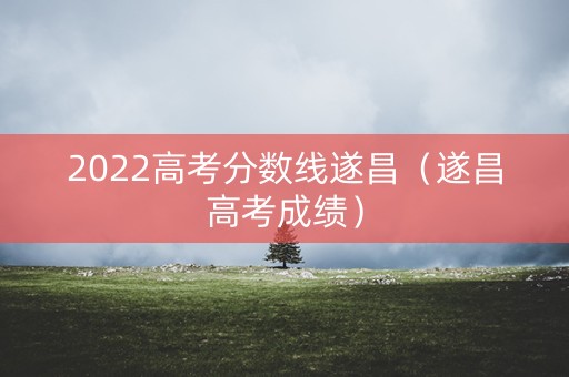 2022高考分数线遂昌（遂昌高考成绩）