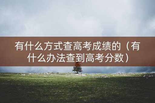 有什么方式查高考成绩的（有什么办法查到高考分数）