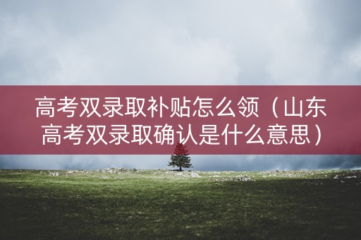 高考双录取补贴怎么领（山东高考双录取确认是什么意思）