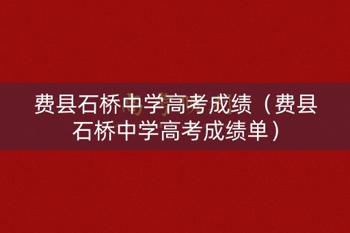 费县石桥中学高考成绩（费县石桥中学高考成绩单）