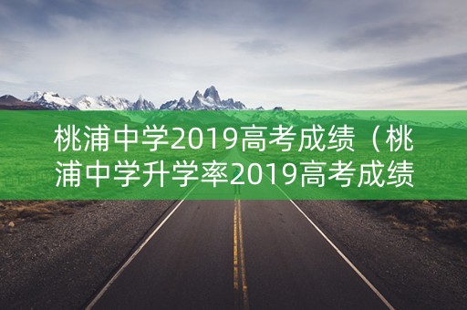 桃浦中学2019高考成绩（桃浦中学升学率2019高考成绩）