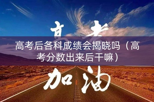 高考后各科成绩会揭晓吗（高考分数出来后干嘛）