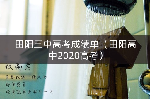 田阳三中高考成绩单（田阳高中2020高考）