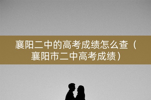 襄阳二中的高考成绩怎么查（襄阳市二中高考成绩）