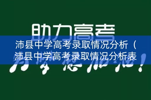 沛县中学高考录取情况分析（沛县中学高考录取情况分析表）