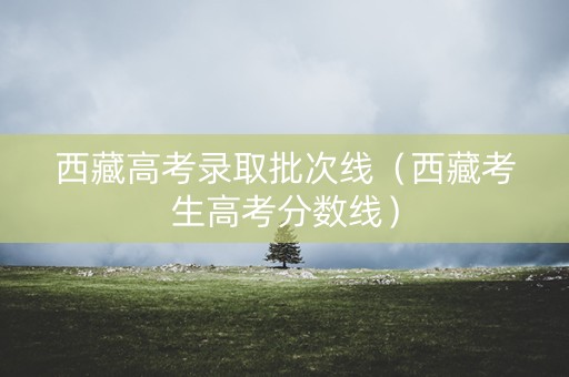 西藏高考录取批次线（西藏考生高考分数线）