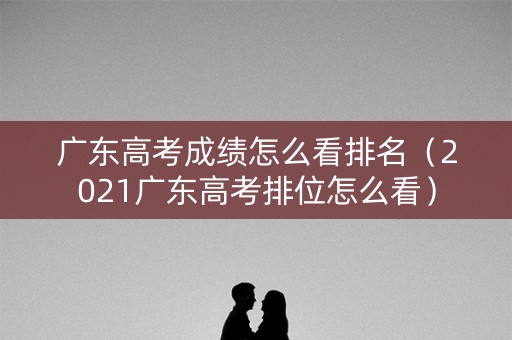 广东高考成绩怎么看排名（2021广东高考排位怎么看）