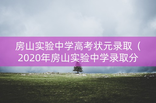 房山实验中学高考状元录取（2020年房山实验中学录取分数）