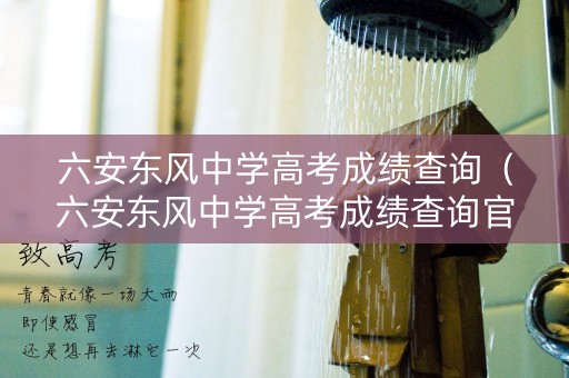 六安东风中学高考成绩查询（六安东风中学高考成绩查询官网）