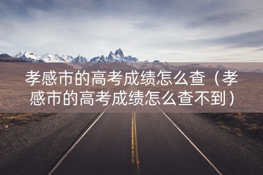 孝感市的高考成绩怎么查（孝感市的高考成绩怎么查不到）