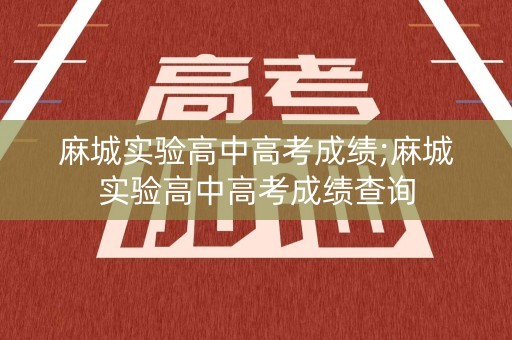麻城实验高中高考成绩;麻城实验高中高考成绩查询