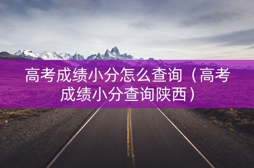 高考成绩小分怎么查询（高考成绩小分查询陕西）
