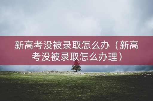 新高考没被录取怎么办（新高考没被录取怎么办理）