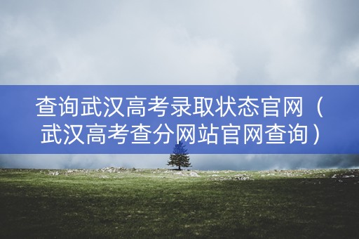 查询武汉高考录取状态官网（武汉高考查分网站官网查询）