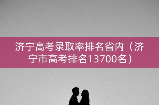 济宁高考录取率排名省内（济宁市高考排名13700名）