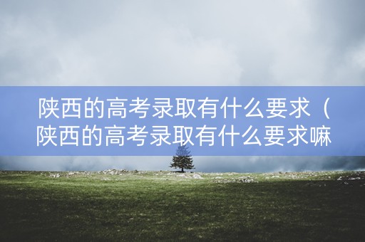 陕西的高考录取有什么要求（陕西的高考录取有什么要求嘛）