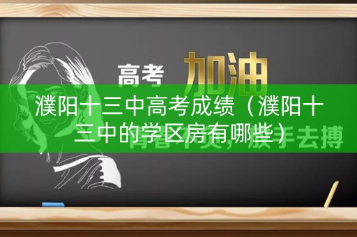 濮阳十三中高考成绩（濮阳十三中的学区房有哪些）