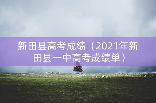 新田县高考成绩（2021年新田县一中高考成绩单）
