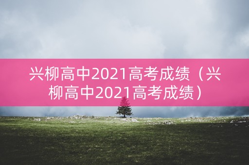 兴柳高中2021高考成绩（兴柳高中2021高考成绩）