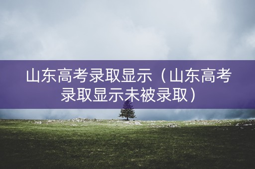 山东高考录取显示（山东高考录取显示未被录取）