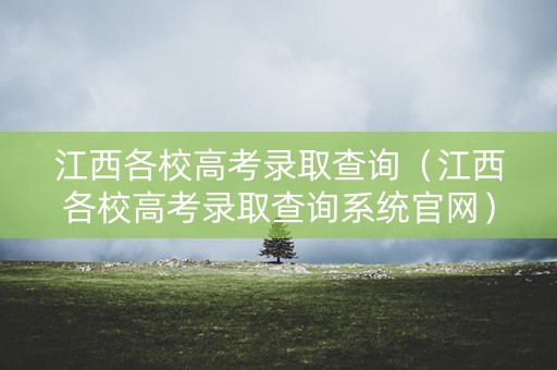 江西各校高考录取查询（江西各校高考录取查询系统官网）