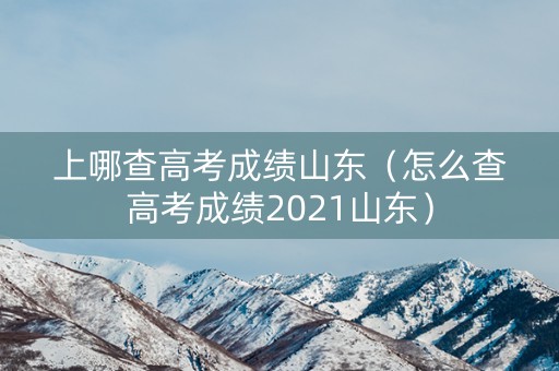 上哪查高考成绩山东（怎么查高考成绩2021山东）