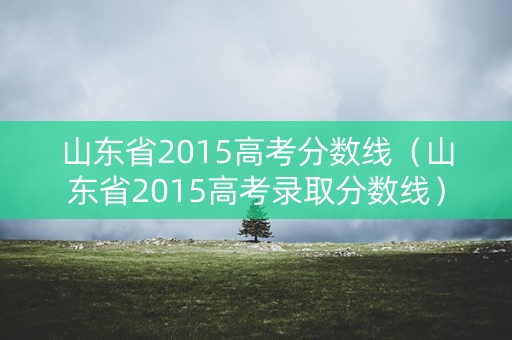 山东省2015高考分数线（山东省2015高考录取分数线）