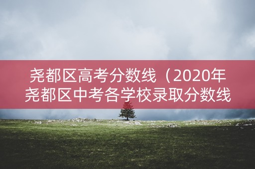 尧都区高考分数线（2020年尧都区中考各学校录取分数线）