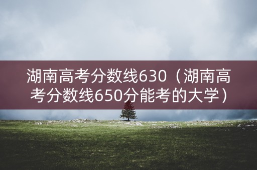 湖南高考分数线630（湖南高考分数线650分能考的大学）