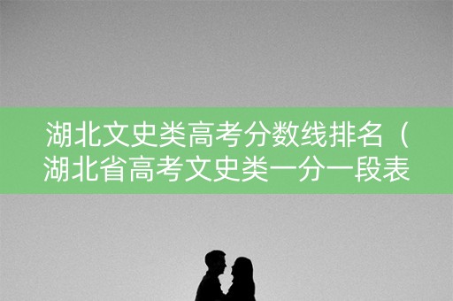 湖北文史类高考分数线排名（湖北省高考文史类一分一段表）